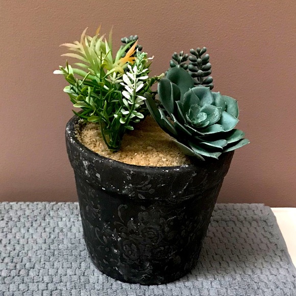 Meet your Posher, Donna - Picture 1 of 1